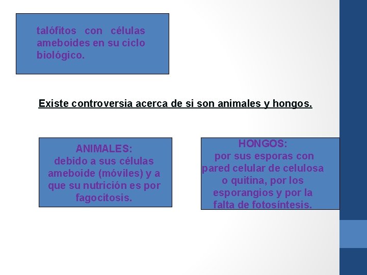 talófitos con células ameboides en su ciclo biológico. Existe controversia acerca de si son