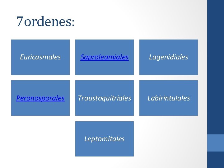 7 ordenes: Euricasmales Saprolegmiales Lagenidiales Peronosporales Traustoquitriales Labirintulales Leptomitales 