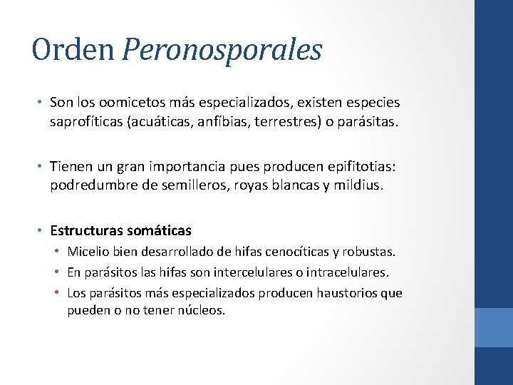 Orden Peronosporales • Son los oomicetos más especializados, existen especies saprofíticas (acuáticas, anfíbias, terrestres)