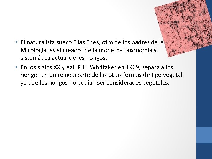  • El naturalista sueco Elias Fries, otro de los padres de la Micología,