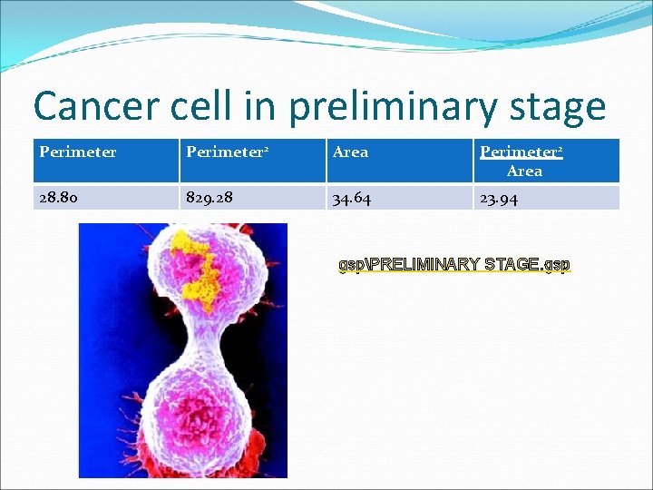 Cancer cell in preliminary stage Perimeter 2 Area 28. 80 829. 28 34. 64