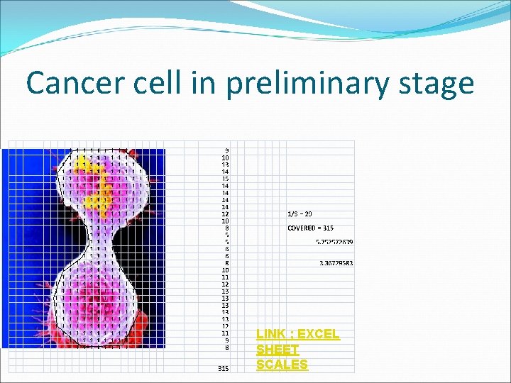 Cancer cell in preliminary stage LINK ; EXCEL SHEET SCALES 