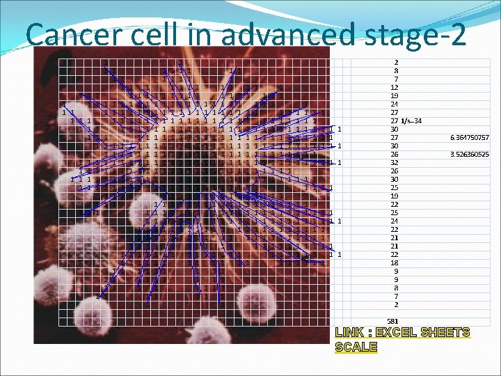 Cancer cell in advanced stage-2 LINK : EXCEL SHEETS SCALE 