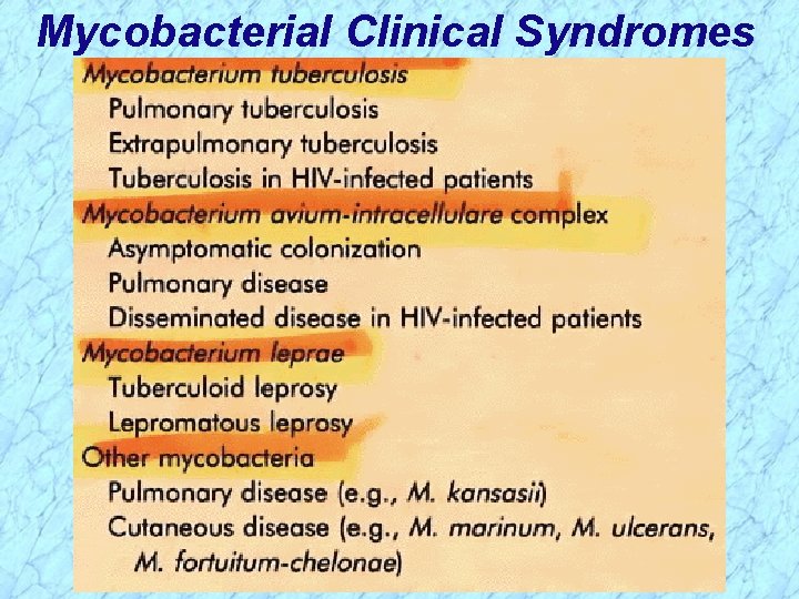 Mycobacterial Clinical Syndromes 