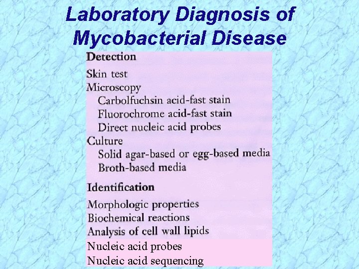 Laboratory Diagnosis of Mycobacterial Disease Nucleic acid probes Nucleic acid sequencing 