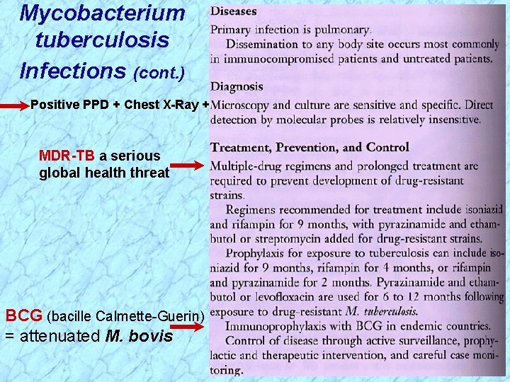 Mycobacterium tuberculosis Infections (cont. ) Positive PPD + Chest X-Ray + MDR-TB a serious