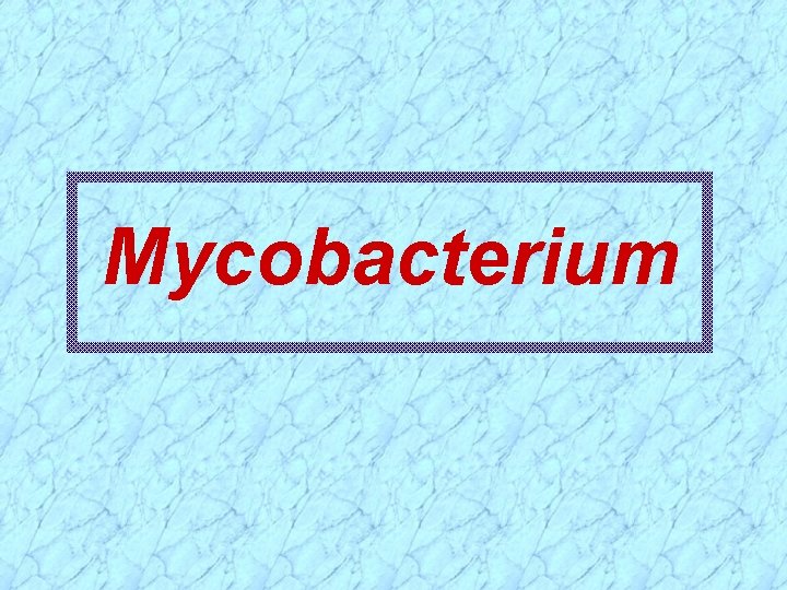 Mycobacterium 