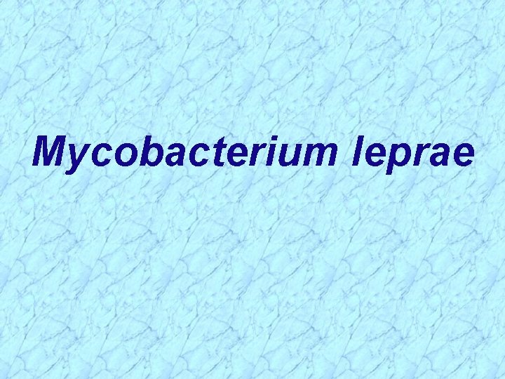 Mycobacterium leprae 