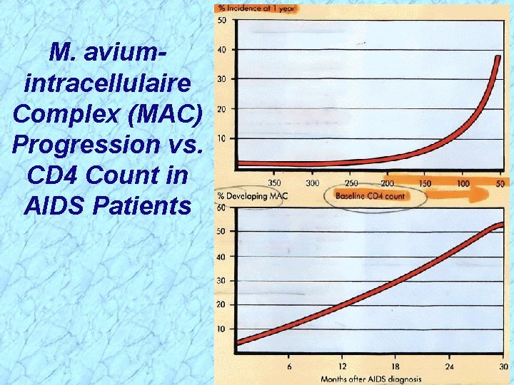 M. aviumintracellulaire Complex (MAC) Progression vs. CD 4 Count in AIDS Patients 