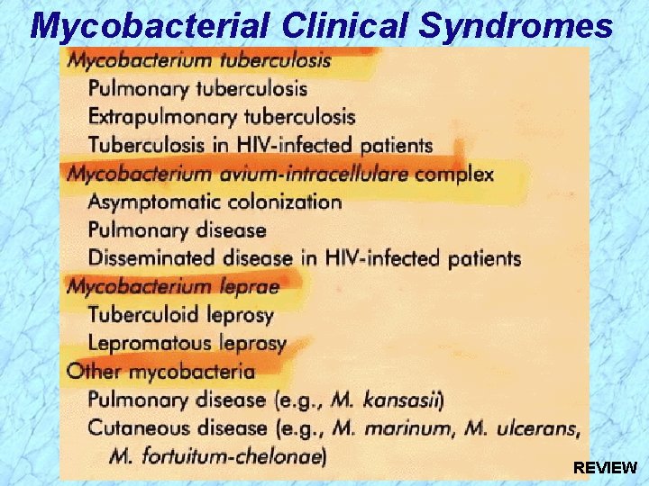 Mycobacterial Clinical Syndromes REVIEW 
