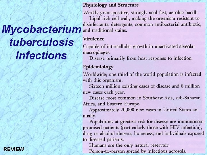 Mycobacterium tuberculosis Infections REVIEW 