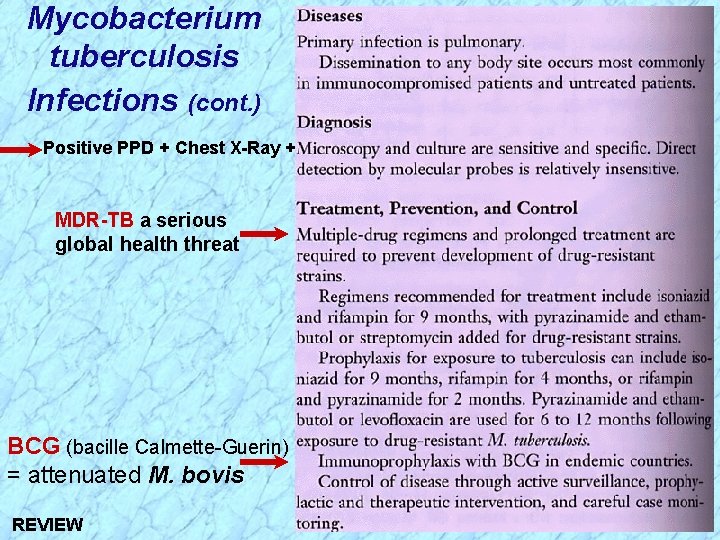 Mycobacterium tuberculosis Infections (cont. ) Positive PPD + Chest X-Ray + MDR-TB a serious