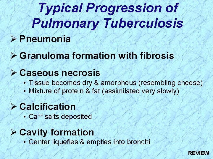 Typical Progression of Pulmonary Tuberculosis Ø Pneumonia Ø Granuloma formation with fibrosis Ø Caseous