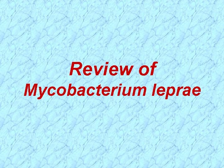 Review of Mycobacterium leprae 
