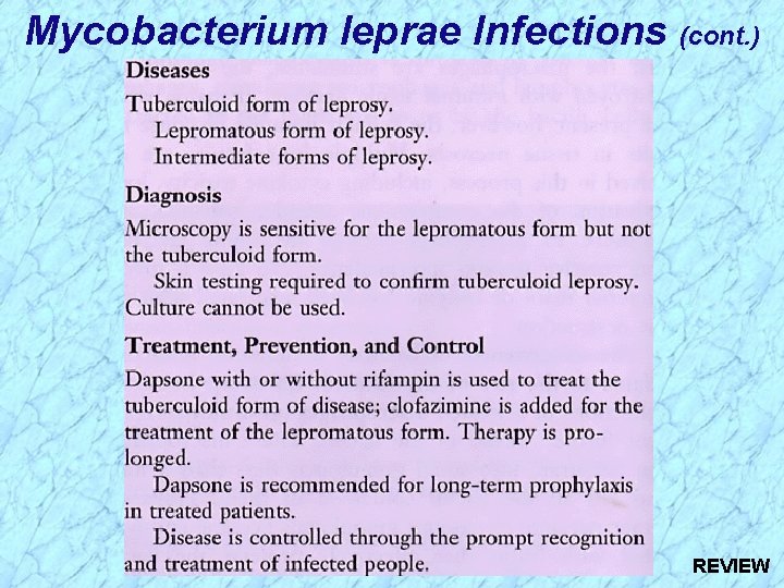 Mycobacterium leprae Infections (cont. ) REVIEW 