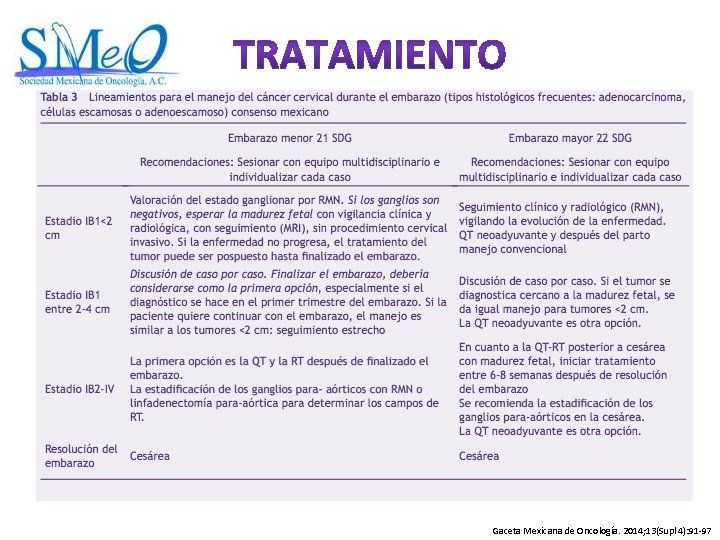 Gaceta Mexicana de Oncología. 2014; 13(Supl 4): 91 -97 