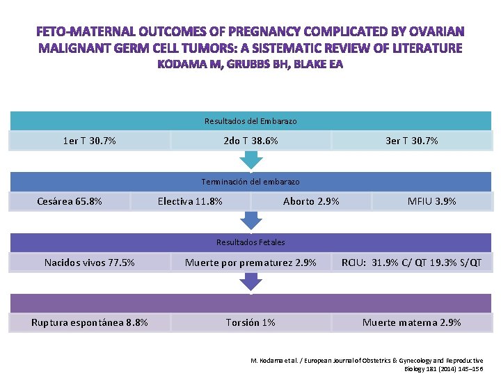 Resultados del Embarazo 1 er T 30. 7% 2 do T 38. 6% 3