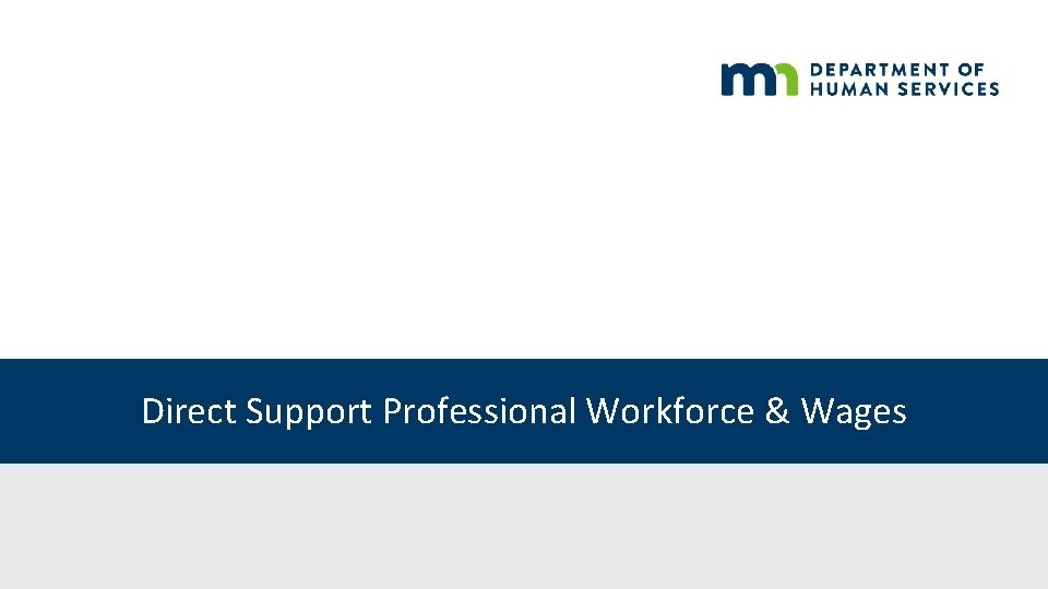 Direct Support Professional Workforce & Wages 