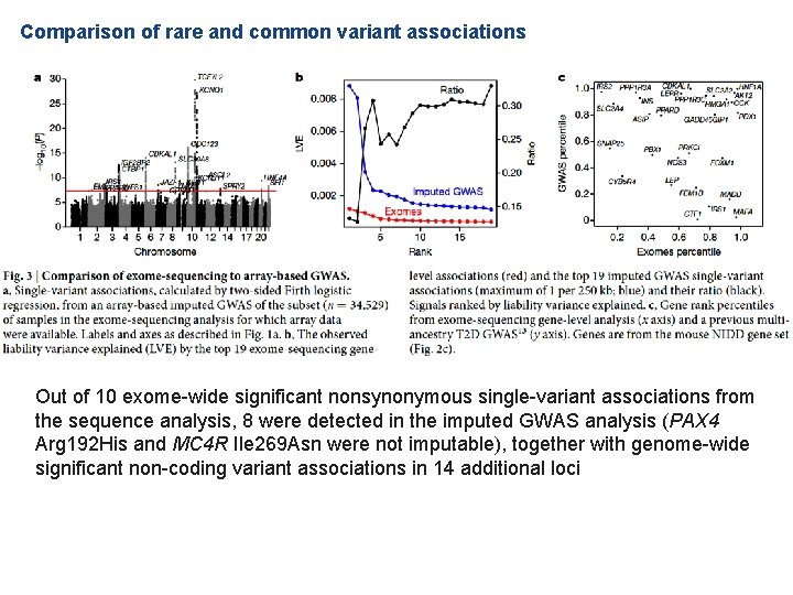 Comparison of rare and common variant associations Out of 10 exome-wide significant nonsynonymous single-variant