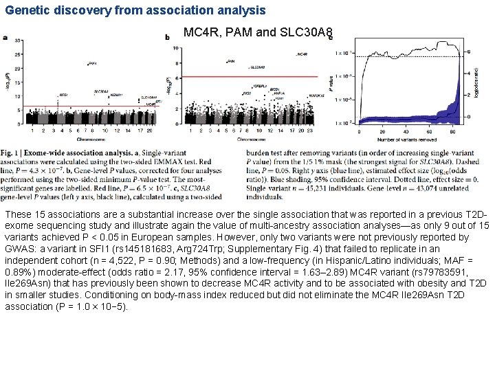 Genetic discovery from association analysis MC 4 R, PAM and SLC 30 A 8