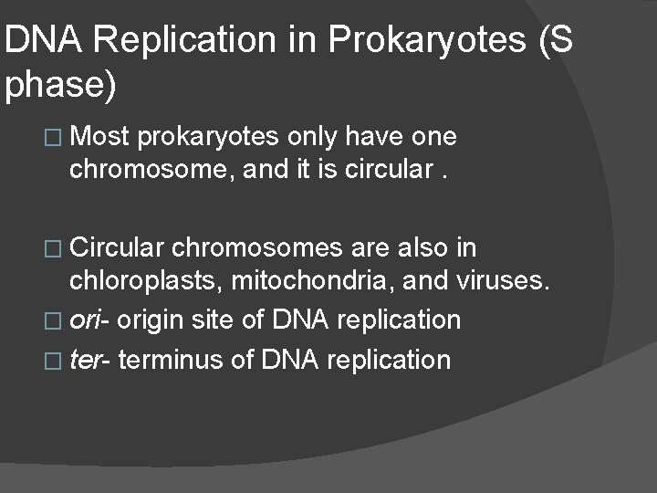 DNA Replication in Prokaryotes (S phase) � Most prokaryotes only have one chromosome, and