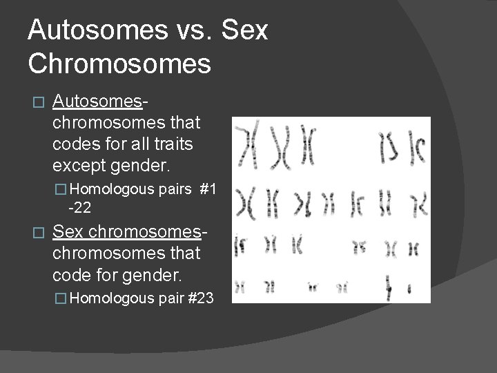 Autosomes vs. Sex Chromosomes � Autosomes- chromosomes that codes for all traits except gender.