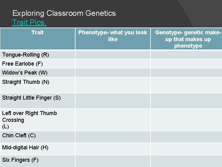 Exploring Classroom Genetics Trait Pics. Trait Tongue-Rolling (R) Free Earlobe (F) Widow’s Peak (W)