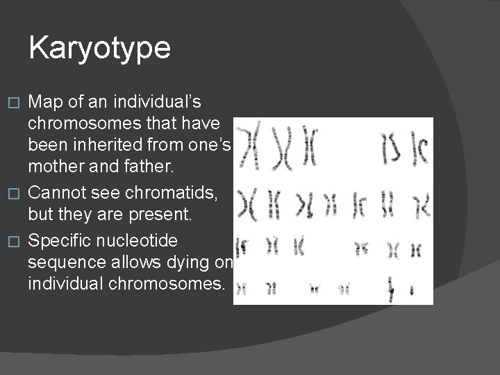 Karyotype Map of an individual’s chromosomes that have been inherited from one’s mother and