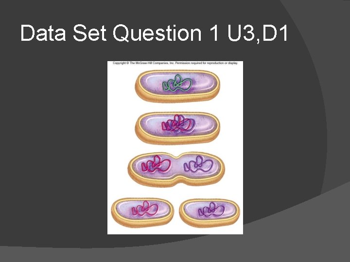 Data Set Question 1 U 3, D 1 