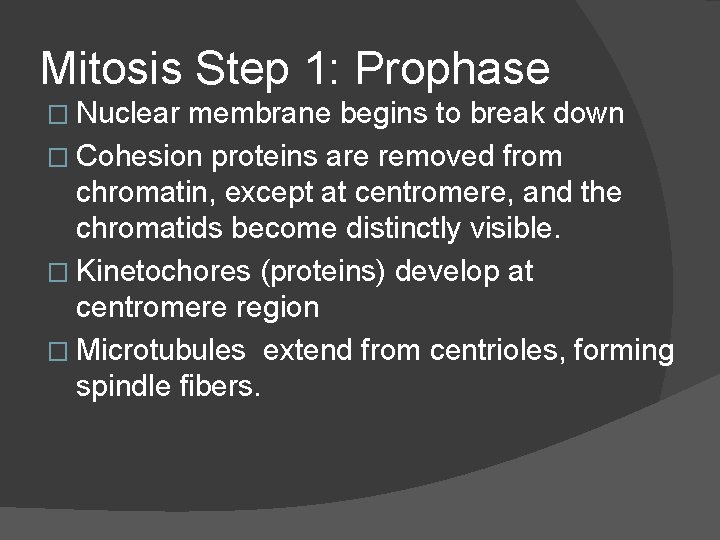 Mitosis Step 1: Prophase � Nuclear membrane begins to break down � Cohesion proteins