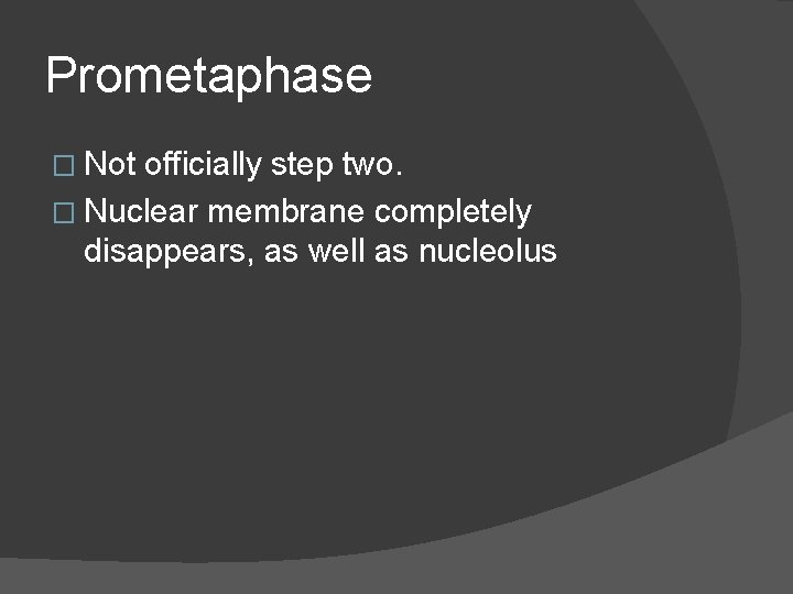 Prometaphase � Not officially step two. � Nuclear membrane completely disappears, as well as