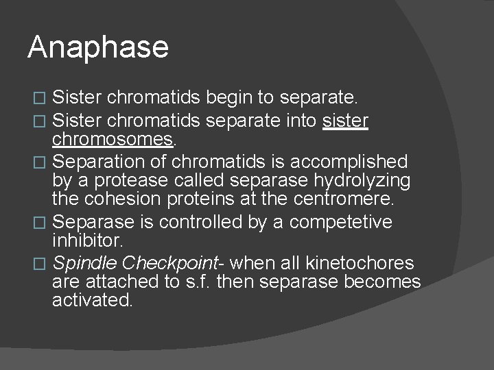 Anaphase Sister chromatids begin to separate. Sister chromatids separate into sister chromosomes. � Separation