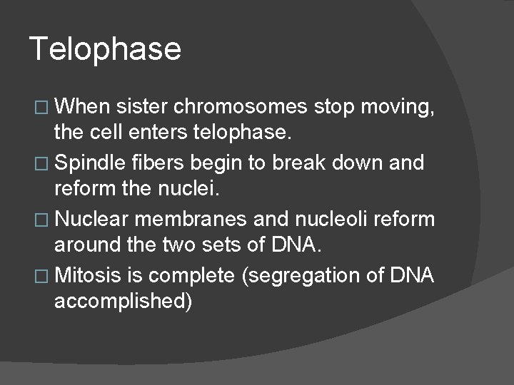 Telophase � When sister chromosomes stop moving, the cell enters telophase. � Spindle fibers