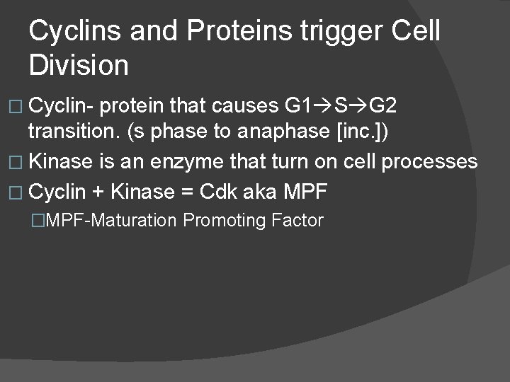 Cyclins and Proteins trigger Cell Division � Cyclin- protein that causes G 1 S