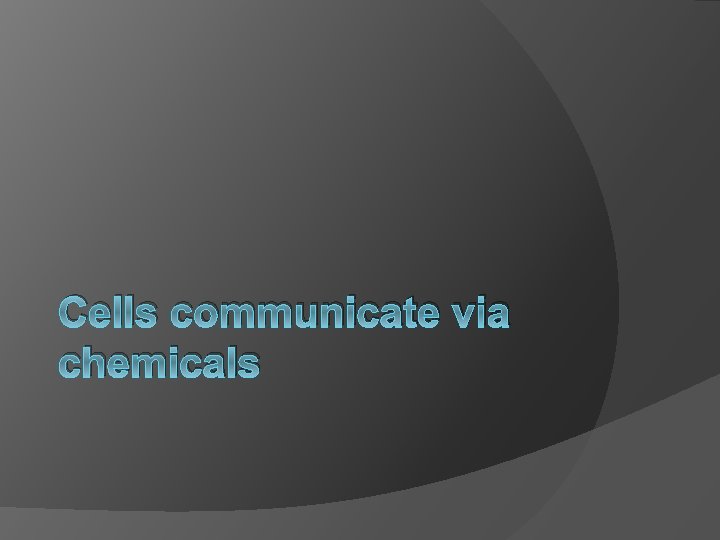 Cells communicate via chemicals 