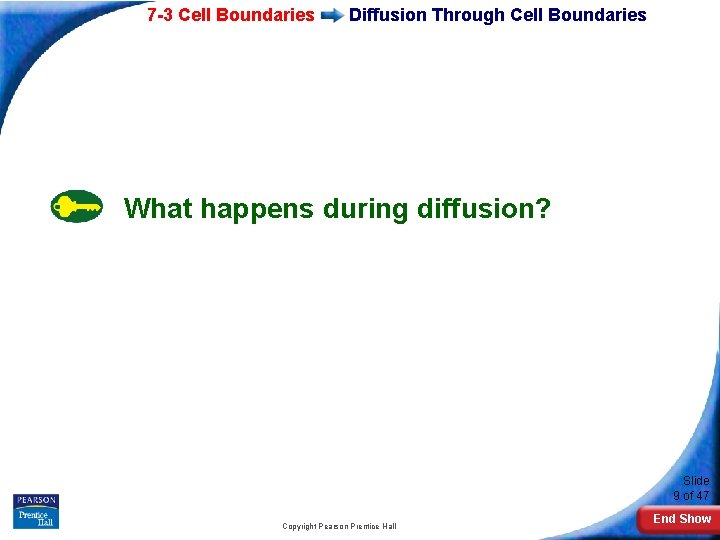 7 -3 Cell Boundaries Diffusion Through Cell Boundaries What happens during diffusion? Slide 9