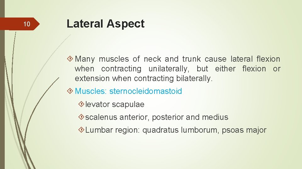 10 Lateral Aspect Many muscles of neck and trunk cause lateral flexion when contracting