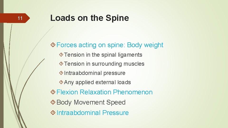 11 Loads on the Spine Forces acting on spine: Body weight Tension in the