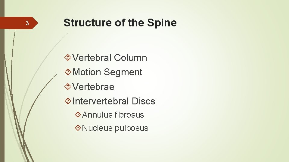 3 Structure of the Spine Vertebral Column Motion Segment Vertebrae Intervertebral Discs Annulus fibrosus