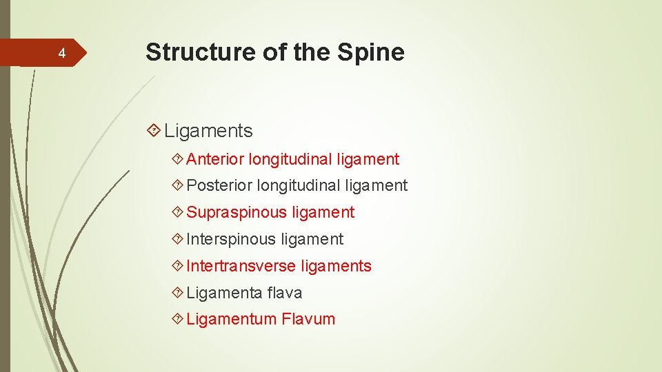 4 Structure of the Spine Ligaments Anterior longitudinal ligament Posterior longitudinal ligament Supraspinous ligament