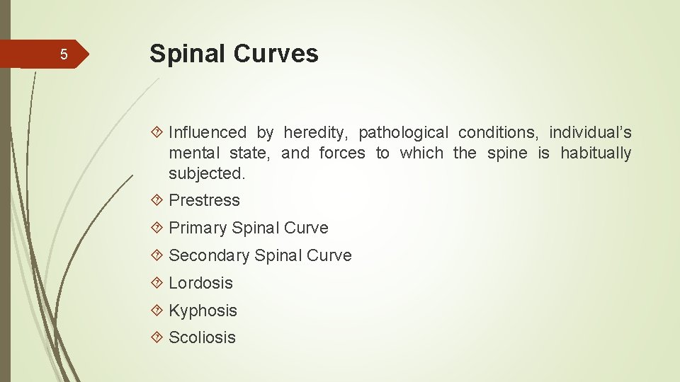 5 Spinal Curves Influenced by heredity, pathological conditions, individual’s mental state, and forces to