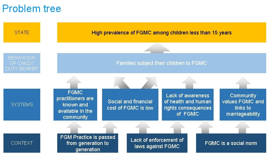 Problem tree STATE High prevalence of FGMC among children less than 15 years BEHAVIOUR