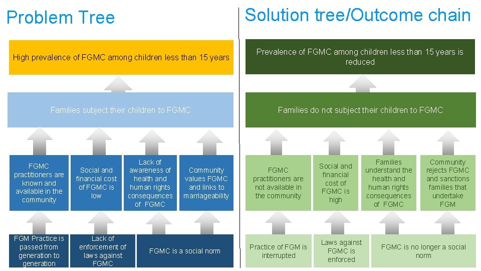 Solution tree/Outcome chain Problem Tree High prevalence of FGMC among children less than 15