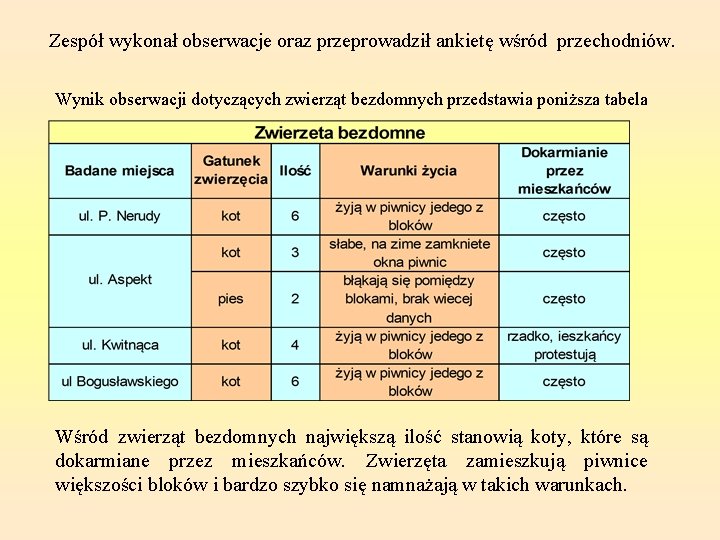 Zespół wykonał obserwacje oraz przeprowadził ankietę wśród przechodniów. Wynik obserwacji dotyczących zwierząt bezdomnych przedstawia