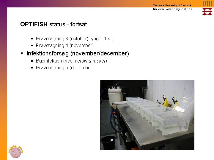 Technical University of Denmark National Veterinary Institute Probiotika