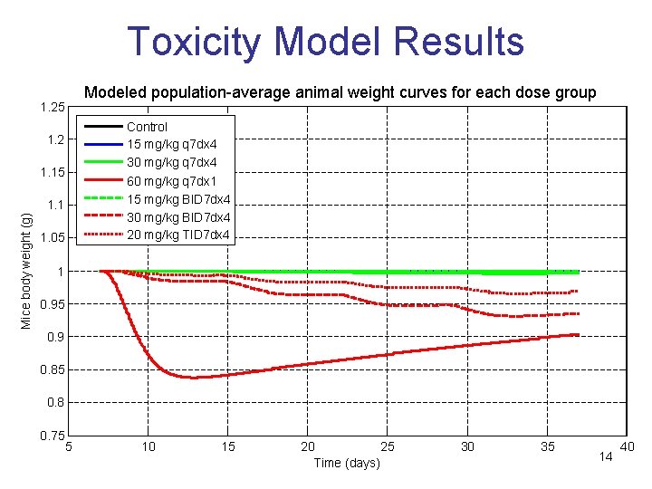 Toxicity Model Results Modeled population-average animal weight curves for each dose group 1. 25