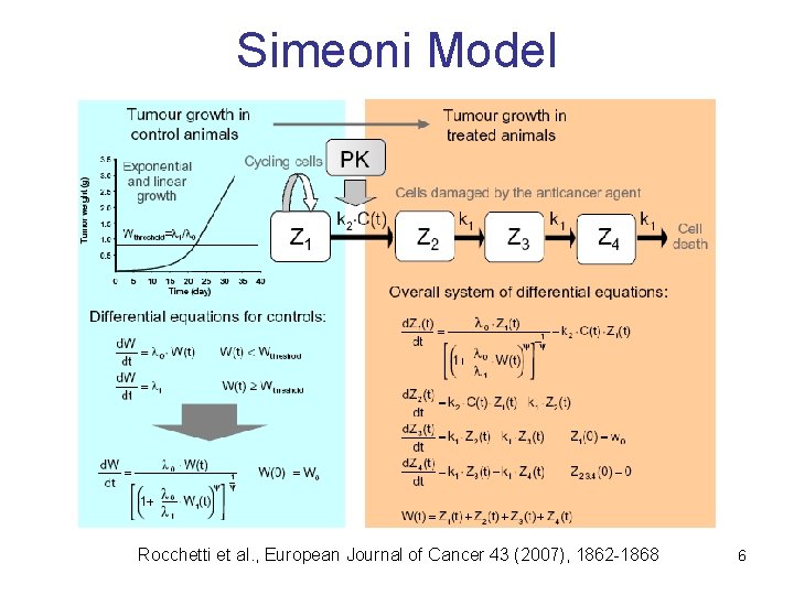 Simeoni Model Rocchetti et al. , European Journal of Cancer 43 (2007), 1862 -1868