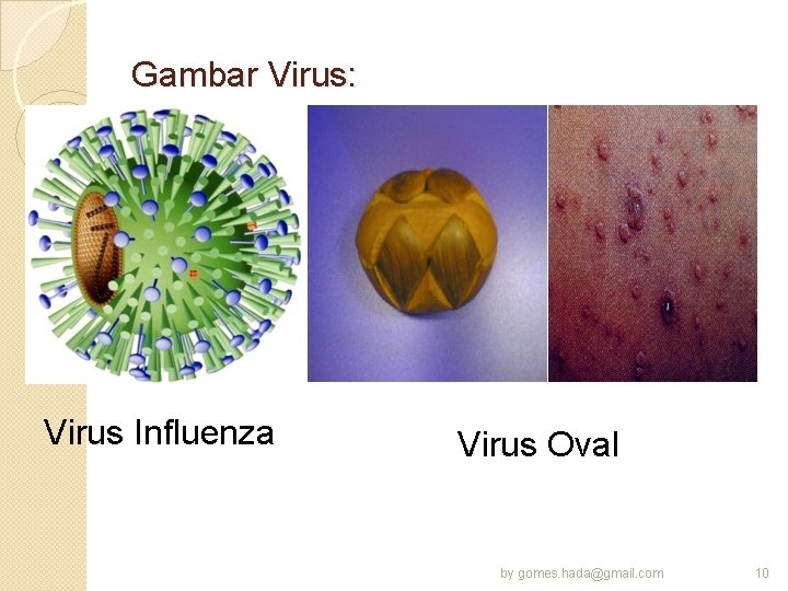 Gambar Virus: Virus Influenza Virus Oval by gomes. hada@gmail. com 10 
