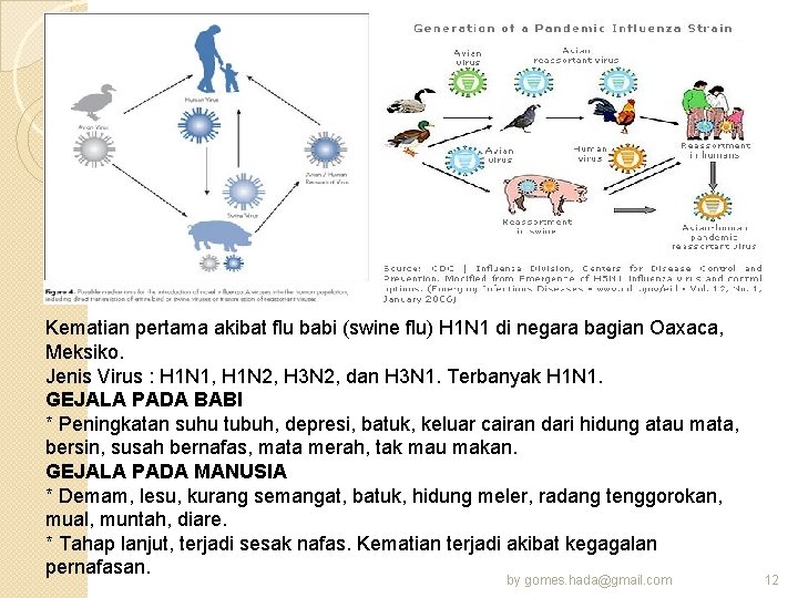 Kematian pertama akibat flu babi (swine flu) H 1 N 1 di negara bagian