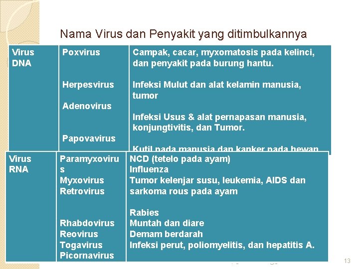Nama Virus dan Penyakit yang ditimbulkannya Virus DNA Poxvirus Campak, cacar, myxomatosis pada kelinci,